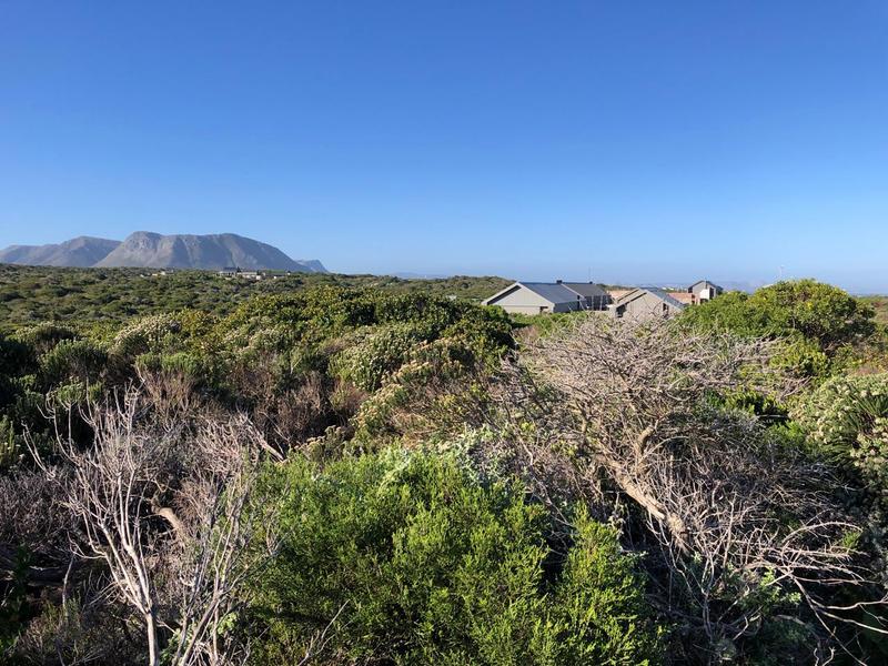 0 Bedroom Property for Sale in Romansbaai Estate Western Cape